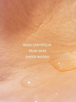 Victoria Secret Bare Rose 50ml Perfume | KJWVI7543