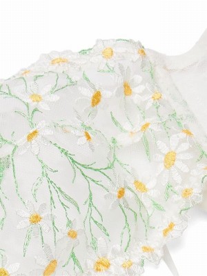 White Victoria Secret Coconut Daisy Broderie Halter Bodysuit Lingerie | BKOJW6579