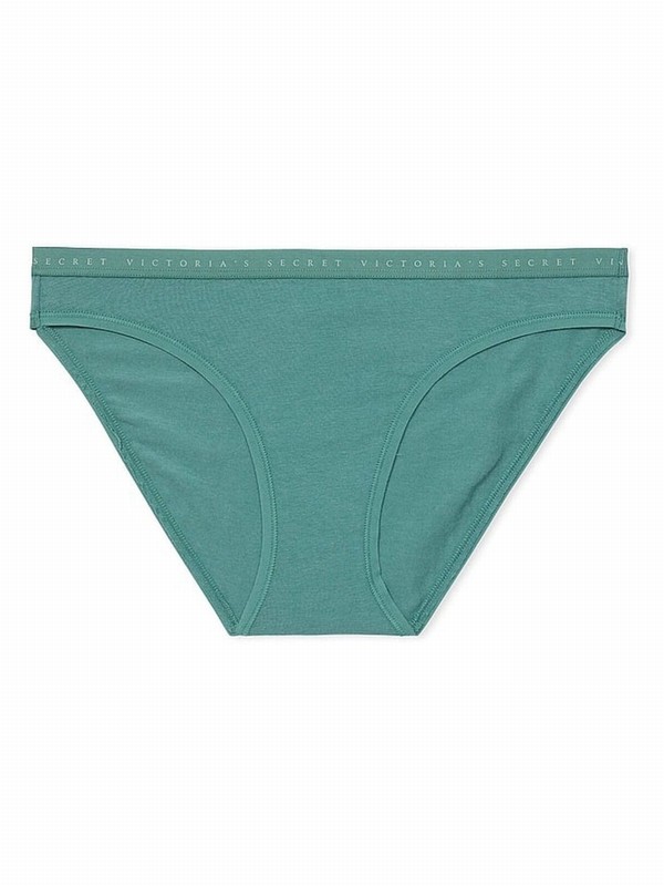 Olive / Blue Victoria Secret French Sage Bikini Underwear | WLDVB4928