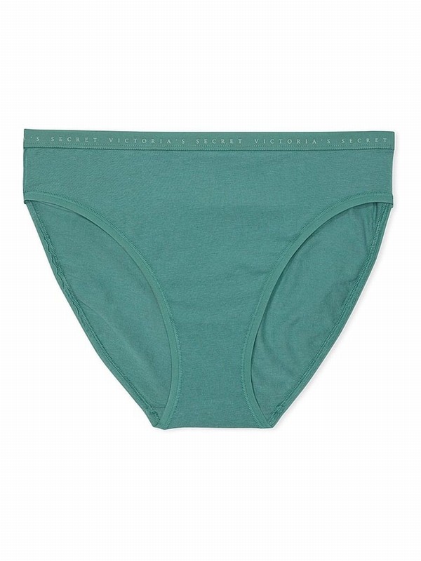 Olive / Blue Victoria Secret French Sage Brief Underwear | DOPXN0475