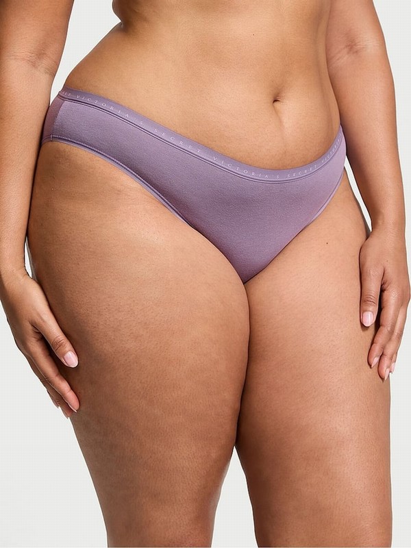 Purple Victoria Secret Frozen Plum Bikini Underwear | ZNYDP0281