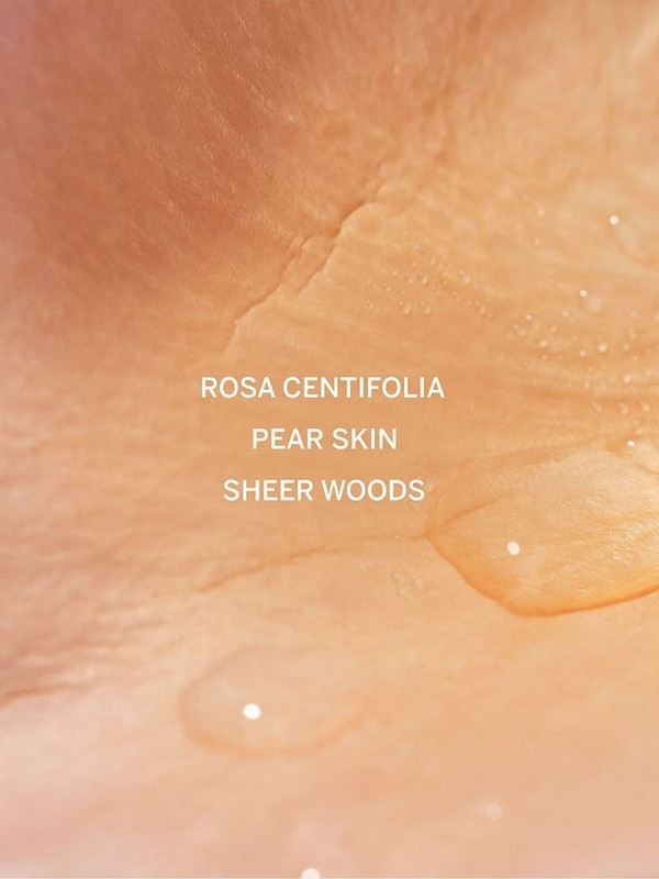 Victoria Secret Bare Rose 50ml Perfume | KJWVI7543