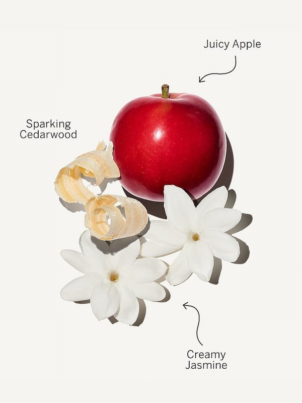 Victoria Secret Pink For All 50ml Perfume | BTFOY4370